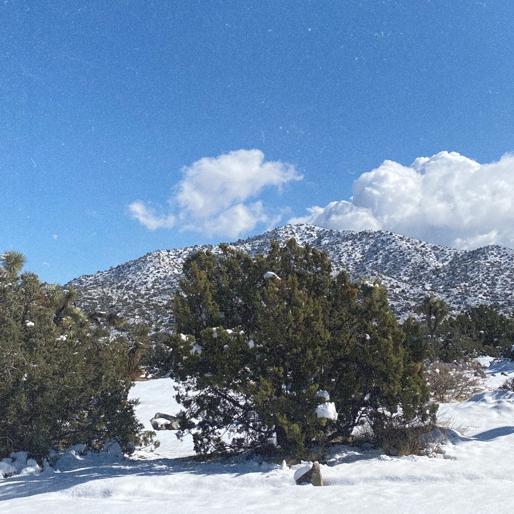 Meet your Posher, Melanie